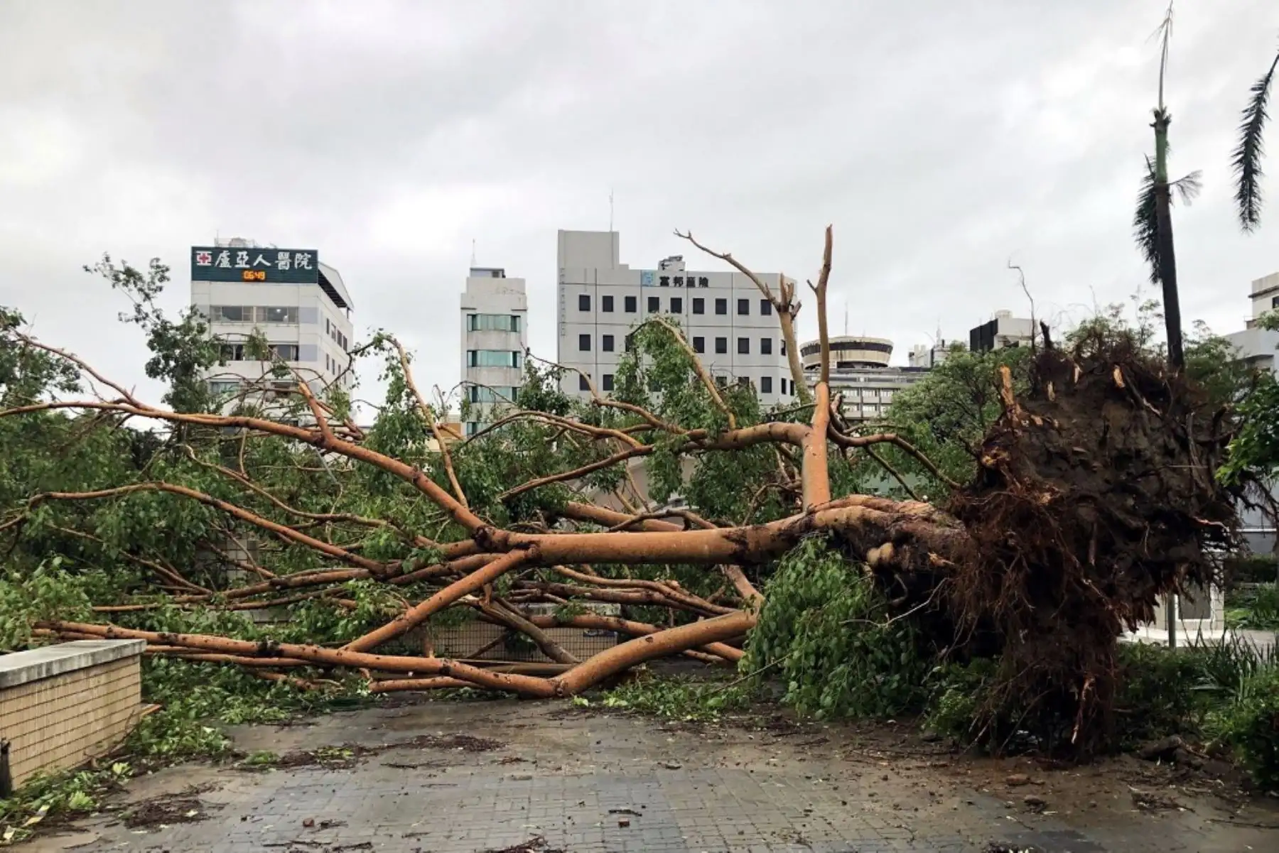 Dos personas murieron y cientos resultaron heridas cuando el tifón Danas azotó la costa oeste de Taiwán, donde unas 400.000 casas quedaron sin electricidad, informaron las autoridades. Foto: AFP