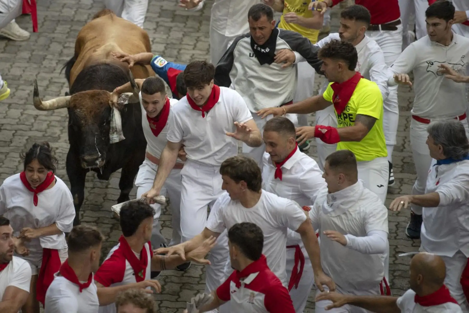 Miles de personas se congregaron el 7 de julio en las calles del casco antiguo para acompañar a los seis astados de Fuente Ymbro en un recorrido de 850 metros hasta la plaza de toros. El encierro duró 2 minutos y 37 segundos y se reportaron varios momentos de riesgo por caídas y aglomeraciones. Foto: AFP