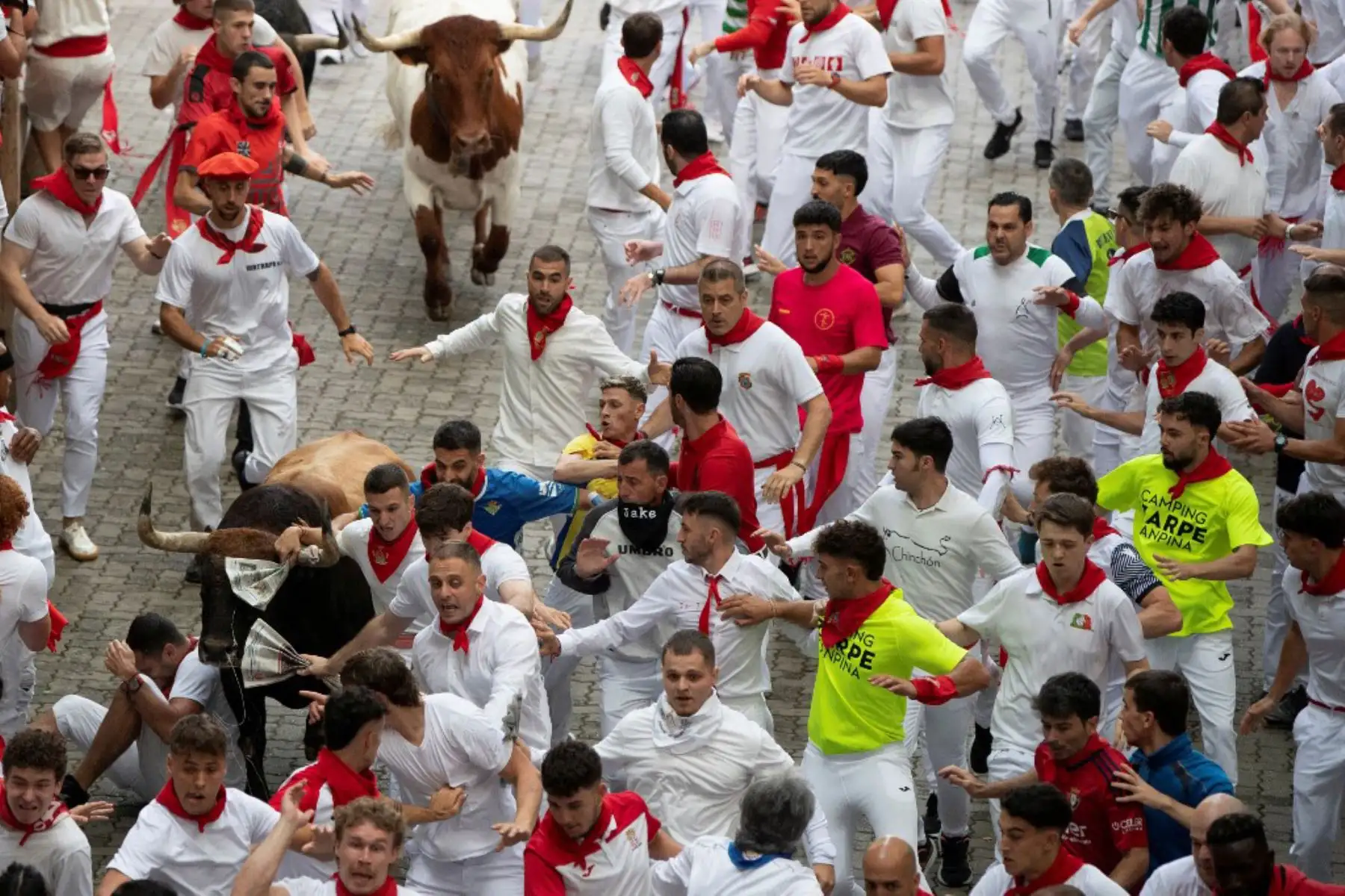 Miles de personas se congregaron el 7 de julio en las calles del casco antiguo para acompañar a los seis astados de Fuente Ymbro en un recorrido de 850 metros hasta la plaza de toros. El encierro duró 2 minutos y 37 segundos y se reportaron varios momentos de riesgo por caídas y aglomeraciones. Foto: AFP