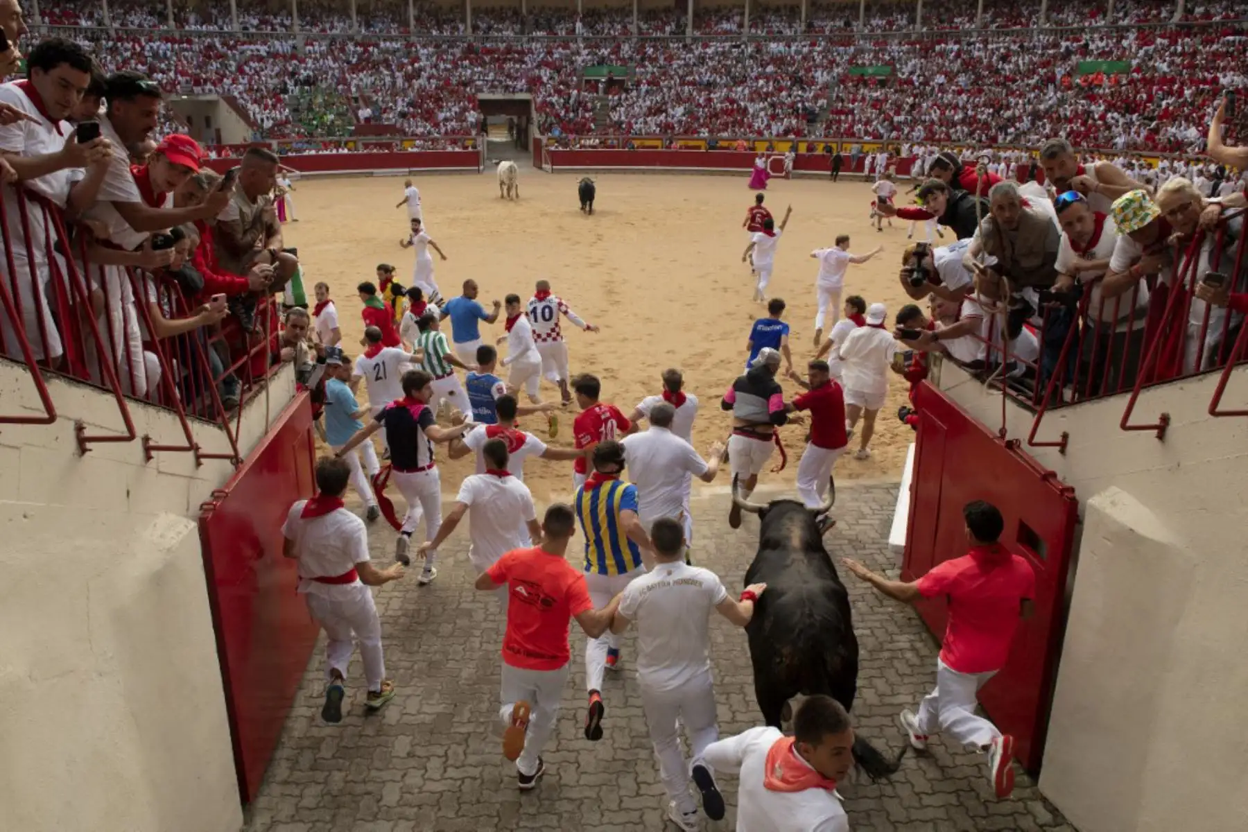Miles de personas se congregaron el 7 de julio en las calles del casco antiguo para acompañar a los seis astados de Fuente Ymbro en un recorrido de 850 metros hasta la plaza de toros. El encierro duró 2 minutos y 37 segundos y se reportaron varios momentos de riesgo por caídas y aglomeraciones. Foto: AFP