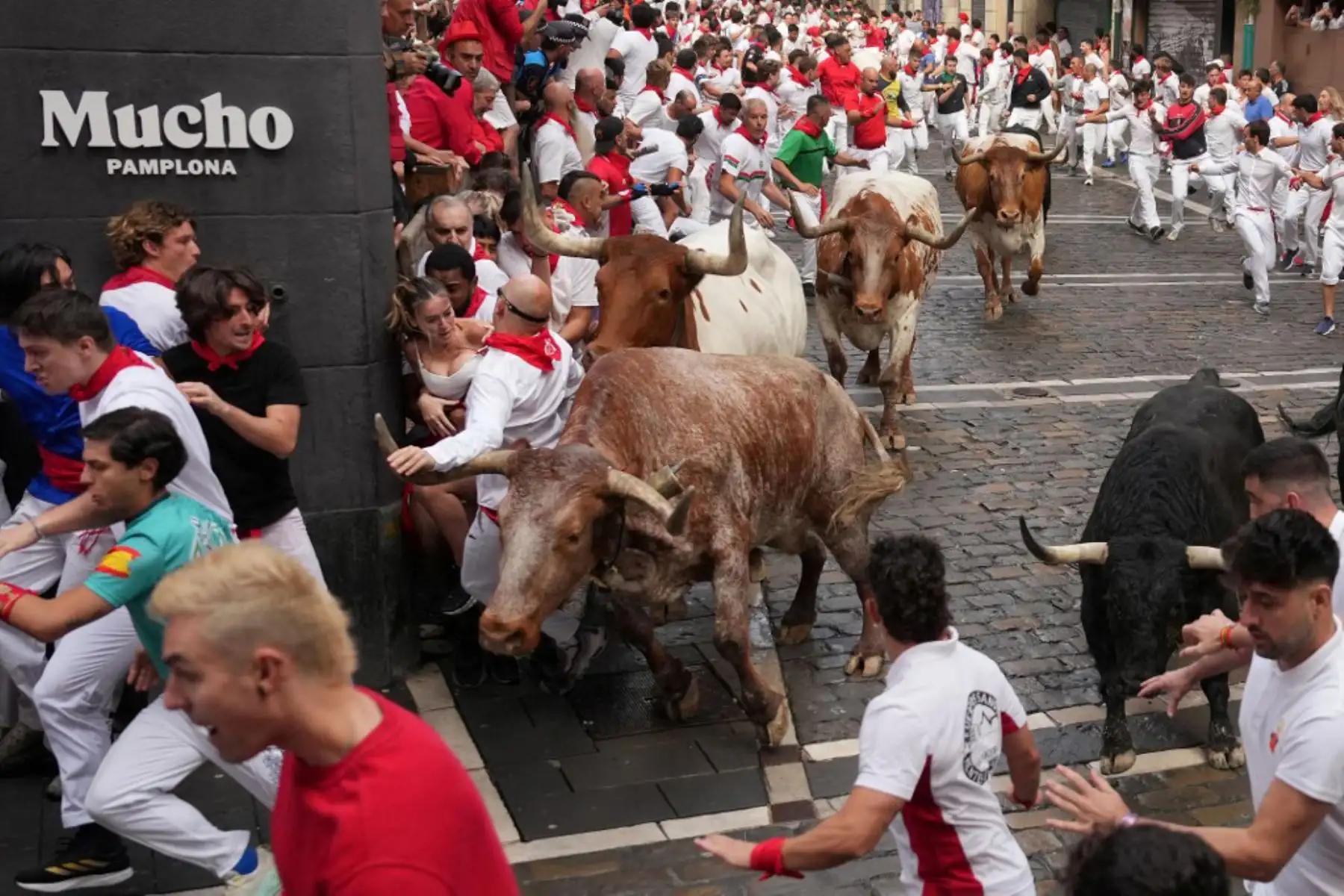 Miles de personas se congregaron el 7 de julio en las calles del casco antiguo para acompañar a los seis astados de Fuente Ymbro en un recorrido de 850 metros hasta la plaza de toros. El encierro duró 2 minutos y 37 segundos y se reportaron varios momentos de riesgo por caídas y aglomeraciones. Foto: AFP