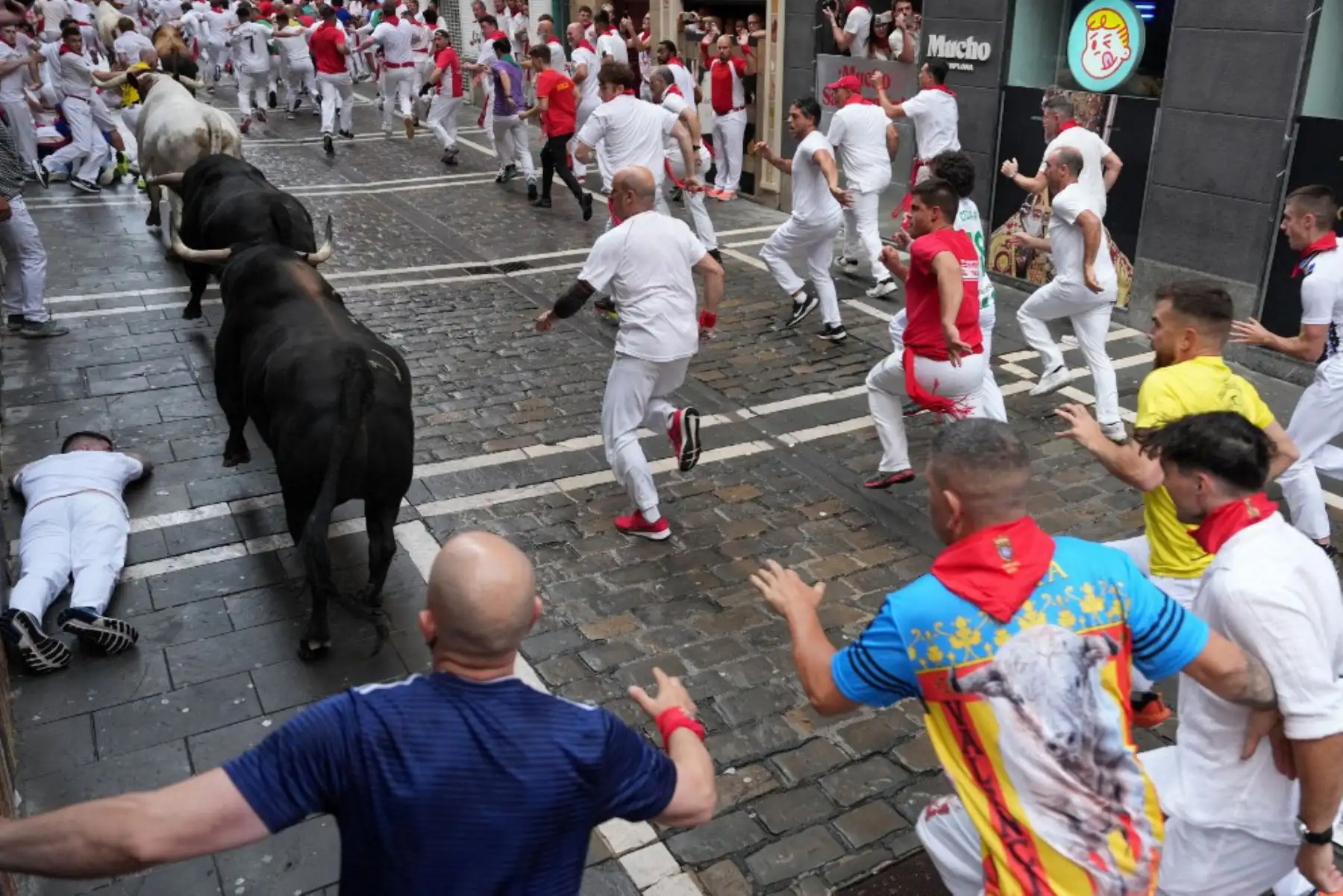 De pelaje negro, colorado y castaño, los seis astados destacaron por su rapidez y bravura. A pesar de las caídas iniciales, no se reportaron cornadas. Se espera el parte médico oficial para conocer el estado de los heridos. Foto: AFP