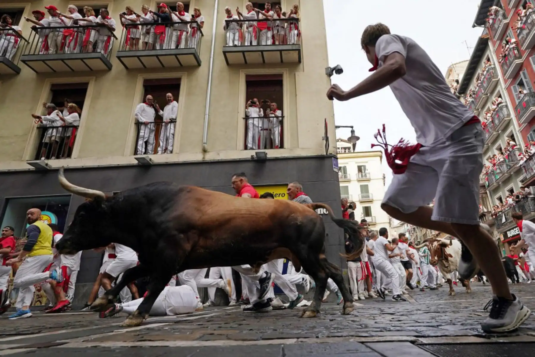 Participantes corren delante de los toros durante el primer encierro de los Sanfermines en Pamplona, norte de España, el 7 de julio de 2025.  Foto: AFP