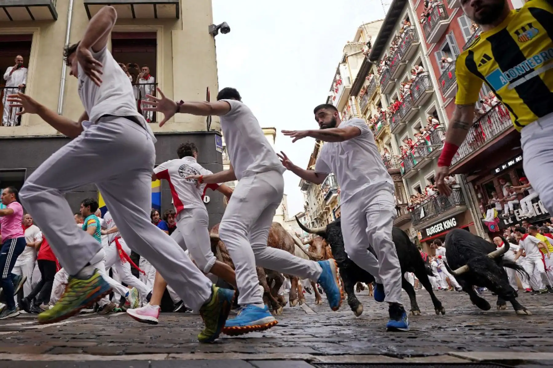 Miles de personas asisten cada año a la semana de festivales y a sus famosos encierros: seis toros se sueltan a las 8:00 h cada día para correr desde su corral hasta la plaza de toros por las estrechas calles del casco antiguo a lo largo de un recorrido de 850 metros, mientras los corredores que los preceden intentan mantenerse cerca de los toros sin caerse ni ser corneados. Foto: AFP