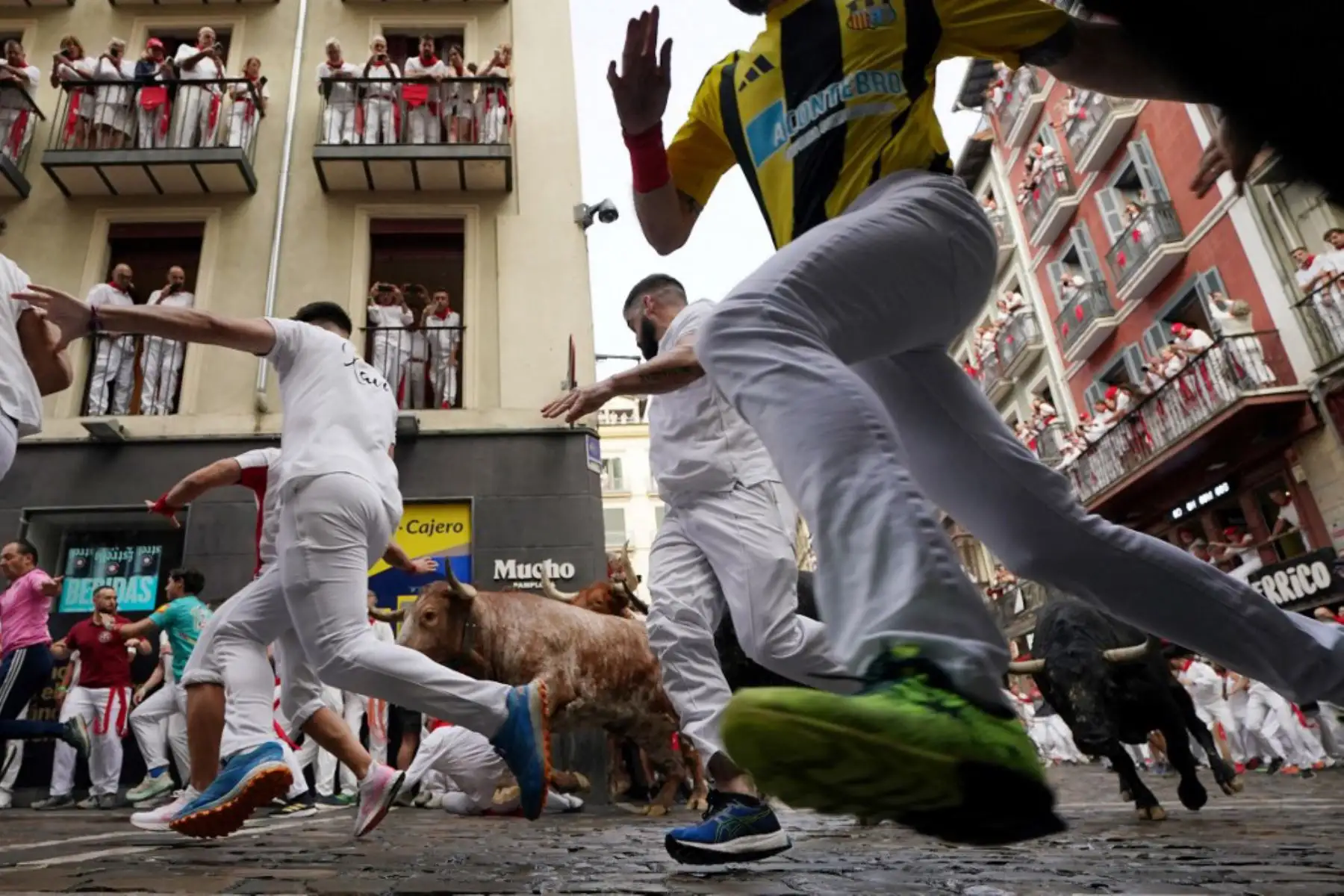 Miles de personas asisten cada año a la semana de festivales y a sus famosos encierros: seis toros se sueltan a las 8:00 h cada día para correr desde su corral hasta la plaza de toros por las estrechas calles del casco antiguo a lo largo de un recorrido de 850 metros, mientras los corredores que los preceden intentan mantenerse cerca de los toros sin caerse ni ser corneados. Foto: AFP