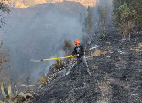 Los últimos cuatro incendios forestales reportados en Cusco se registraron entre el jueves 3 y el domingo 6 de julio, la mayoría causados por la acción del hombre. ANDINA/Difusión