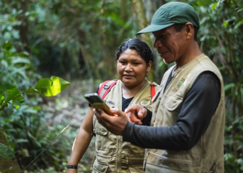 La certificadora internacional acreditó que el programa Bosque cumple con dos procesos claves: monitoreo de la cobertura de bosques y la entrega de incentivos económicos a comunidades nativas. ANDINA/Difusión