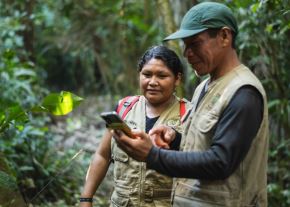 La certificadora internacional acreditó que el programa Bosque cumple con dos procesos claves: monitoreo de la cobertura de bosques y la entrega de incentivos económicos a comunidades nativas. ANDINA/Difusión
