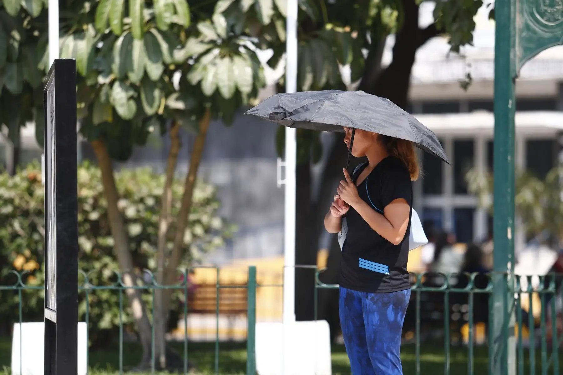 El Senamhi monitorea de manera permanente las condiciones térmicas en la capital mediante su red de estaciones. Foto: ANDINA/Daniel Bracamonte