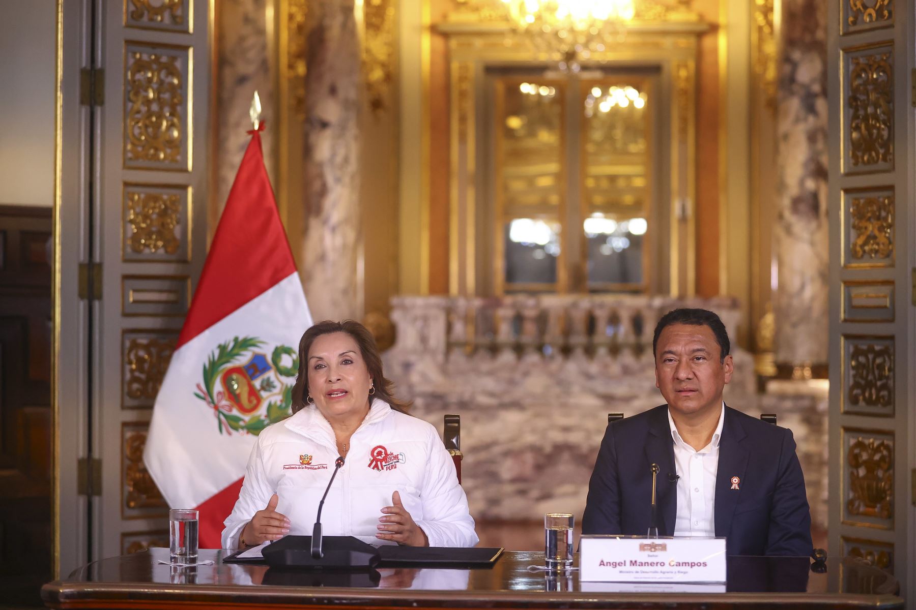 ANDINA/Prensa Presidencia
