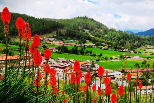 En la Granja Porcón se registró -3.4 grados, la temperatura más baja en lo que va del año en Cajamarca. Foto: Cortesía Eduard Lozano