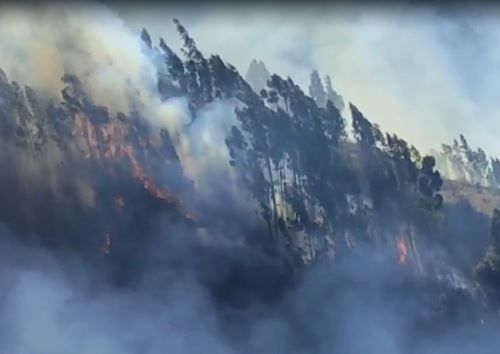 Bomberos de Cusco luchan por liquidar incendio forestal que afecta a la comunidad de Sihua, en la provincia de Calca. ANDINA/Difusión