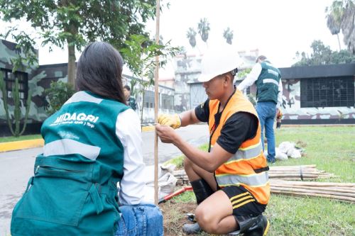 Instalan más de 300 árboles en el cuartel general de la Primera Brigada de las Fuerzas Especiales