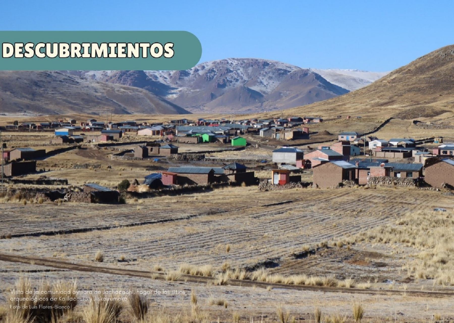 El origen de la agricultura en el Perú es producto de la innovación y resiliencia de los antiguos pobladores de la cuenca del Lago Titicaca, en la actual región Puno.