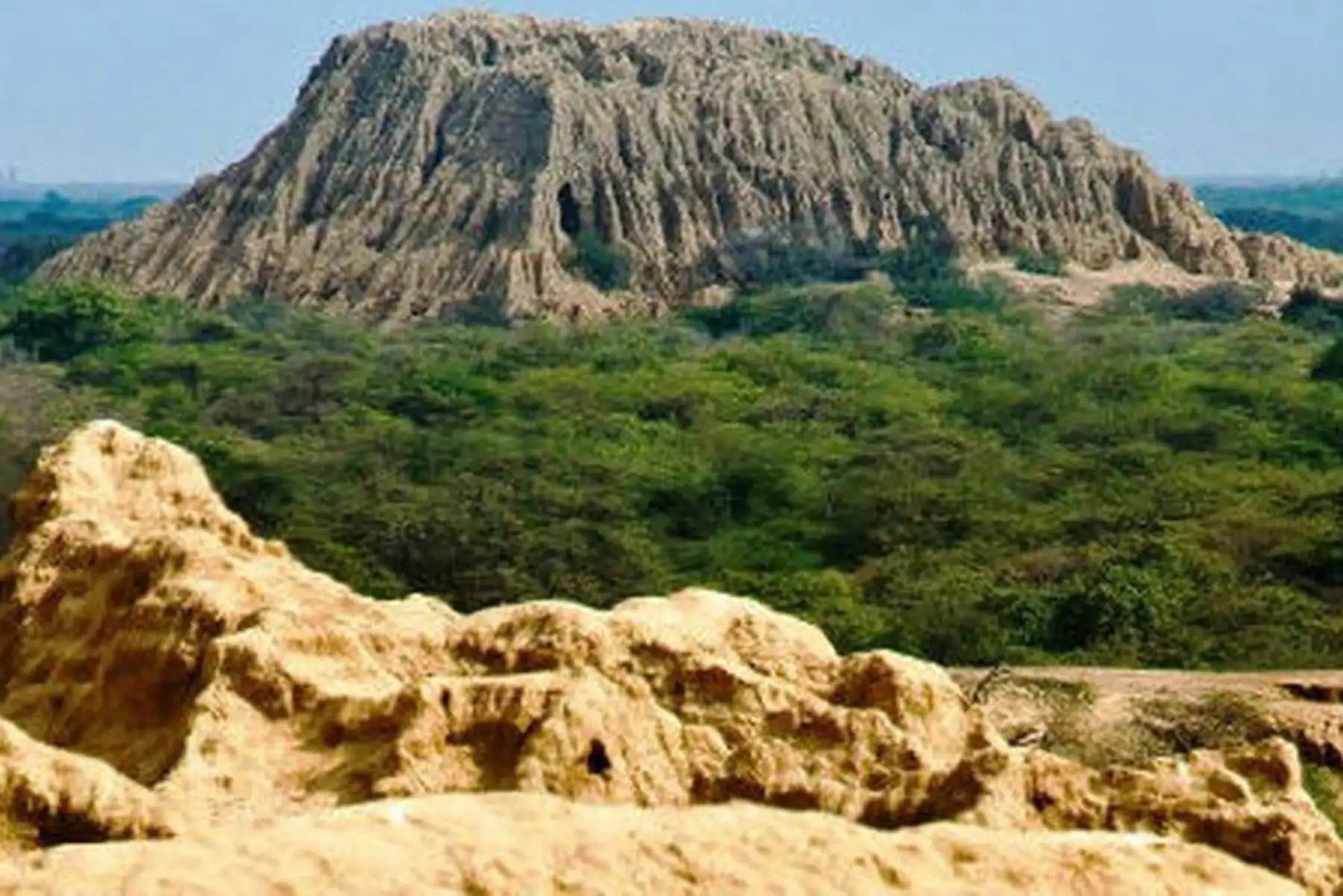 Durante las celebraciones por Fiestas Patrias, la región Lambayeque espera recibir a más de 250 mil turistas, generando un movimiento económico de 20 millones de soles. El Gobierno Regional impulsa seis festivales emblemáticos y lanza la ruta turística del Papa León XIV, con 22 atractivos. Además, invierte en seguridad, limpieza y recapeo de calles en Chiclayo, buscando posicionarla como un destino cultural, religioso y seguro para visitantes nacionales e internacionales. Foto: ANDINA/Difusión