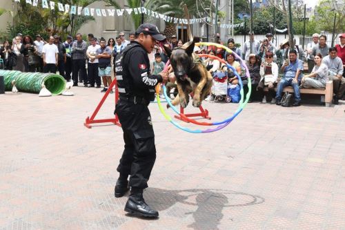 Brigada canina ofrecerá shows gratuitos en diversos parques de Miraflores por Fiestas Patrias. Foto: ANDINA/Difusión