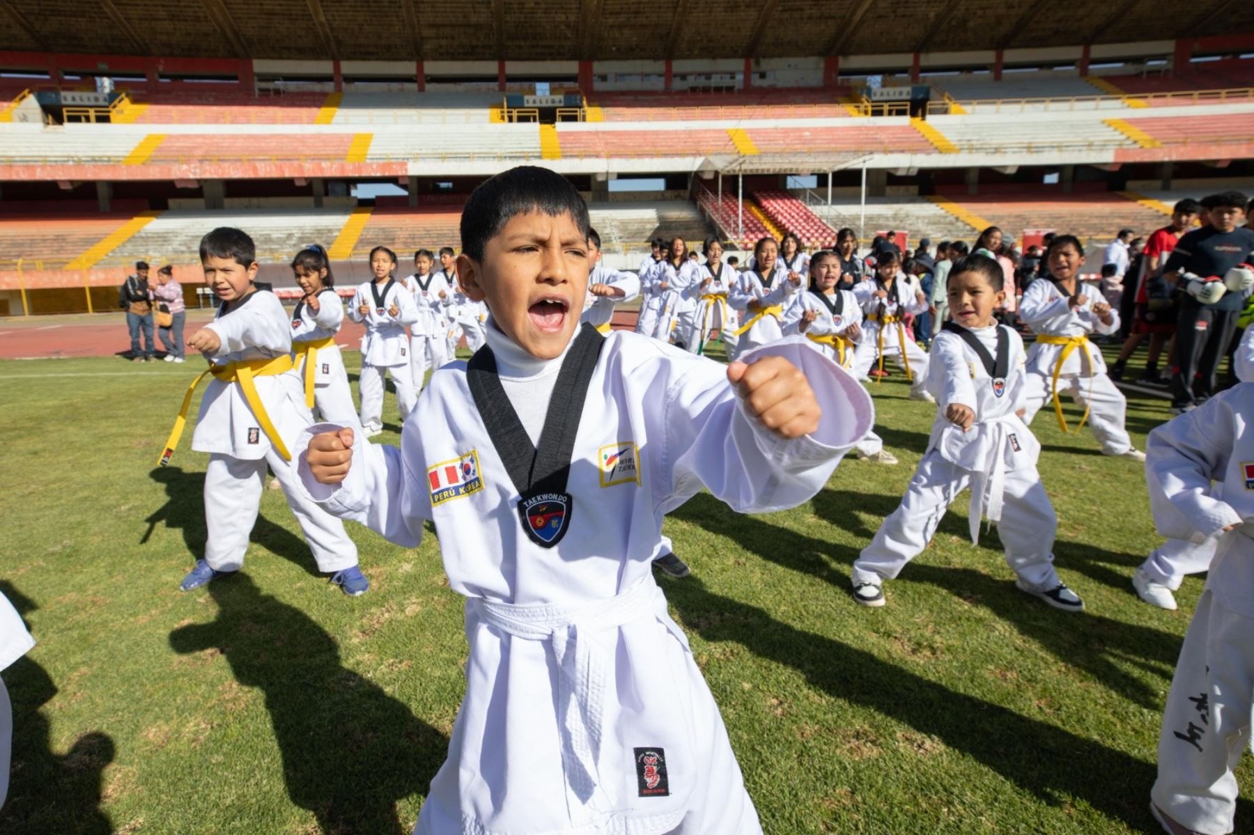 Academia IPD Huancayo beneficia con clases gratuitas a cerca de 1400 niñas, niños y adolescentes de 6 a 17 años en 6 disciplinas.