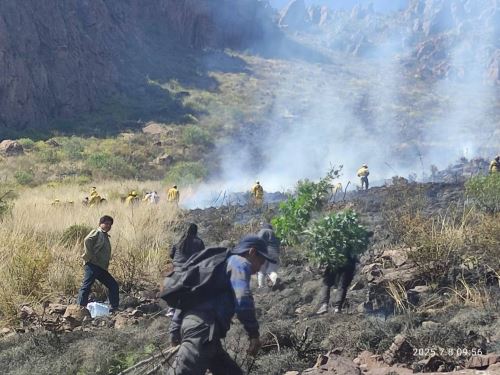 Los brigadistas lucharon arduamente para sofocar el incendio forestal que se registró en el distrito cusqueño de Coya y que arrasó con campos de cultivo y pastizales; además de provocar la muerte de animales domésticos. ANDINA/Difusión