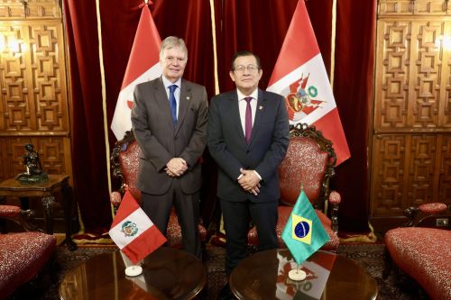 ANDINA/Difusión