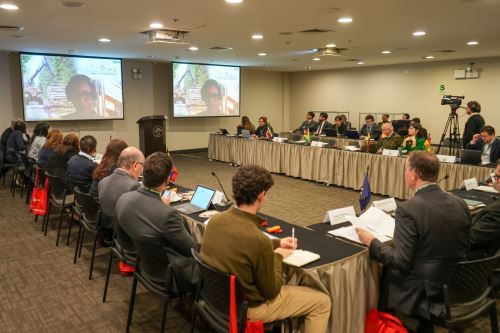 Primera reunión de la Red Amazónica de Autoridades Forestales (Rafo) se desarrolla en Lima. Foto: SERFOR/Difusión.