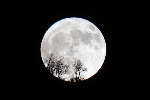 Hermosas imágenes de la super luna que se vio hoy en Europa y Asia