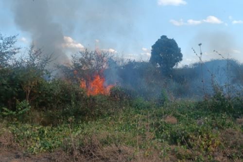 En el Perú la mayoría de los incendios forestales son causado por el hombre.
