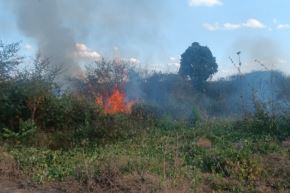 En el Perú la mayoría de los incendios forestales son causado por el hombre.  