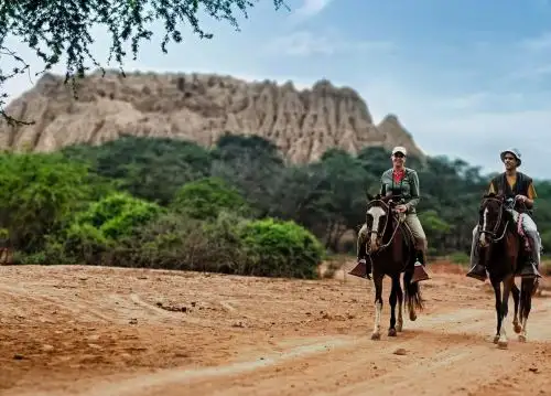 El feriado por Fiestas Patrias es una oportunidad para visitar el Santuario Histórico Bosque de Pómac, un destino de moda en Lambayeque, y disfrutar de sus atractivos naturales y culturales. Esta área protegida forma parte de la promoción de 2x1 que impulsa Sernanp. ANDINA/Difusión