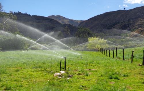 Durante el 2025, el Midagri tiene programada la implementación de 24 proyectos de riego tecnificado que beneficiarán directamente a 1,774 familias agricultoras.