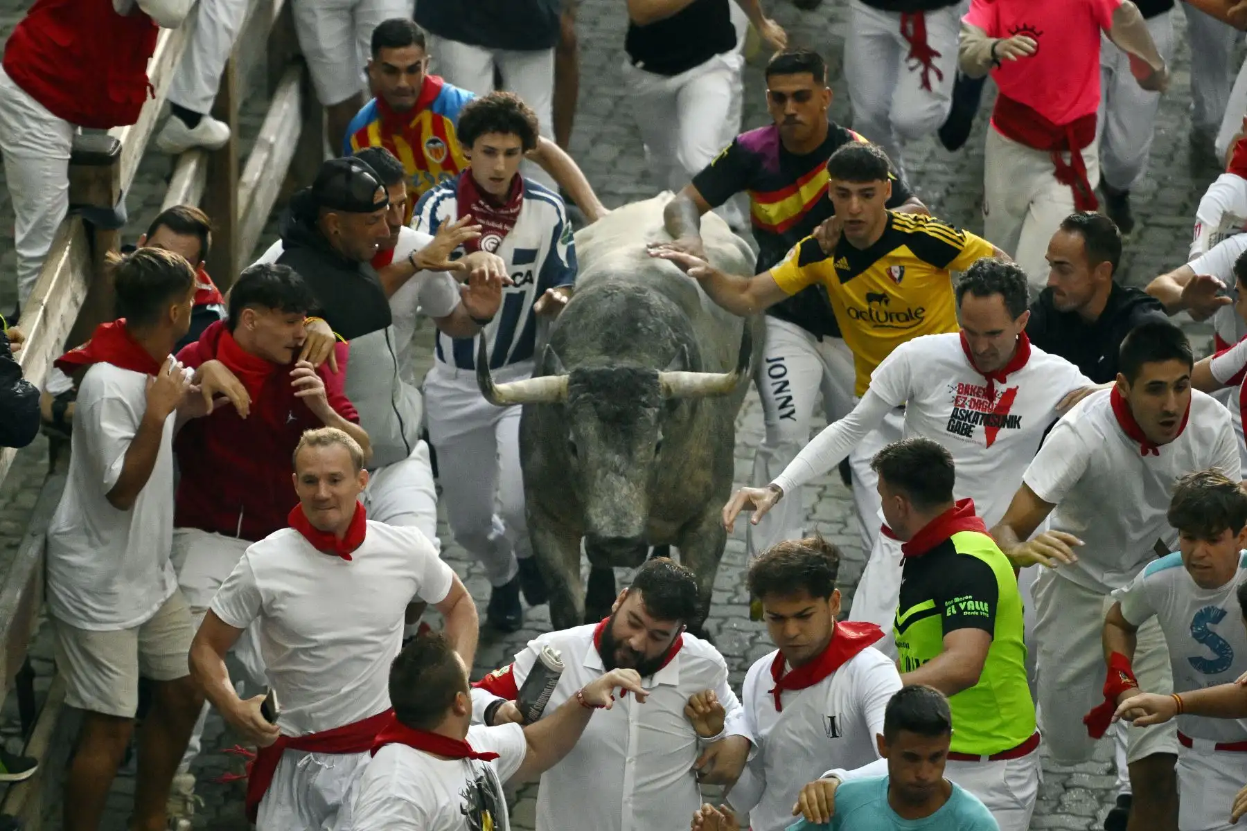 Participantes corren con un toro de raza José Escolar a su llegada a la plaza de toros al final del sexto encierro de San Fermín en Pamplona, norte de España. Miles de personas asisten cada año a las fiestas de una semana de duración y a sus famosos encierros, todos los días a las 8:00 h por las estrechas calles del casco antiguo a lo largo de un recorrido de 850 metro. Foto. ANDINA/AFP