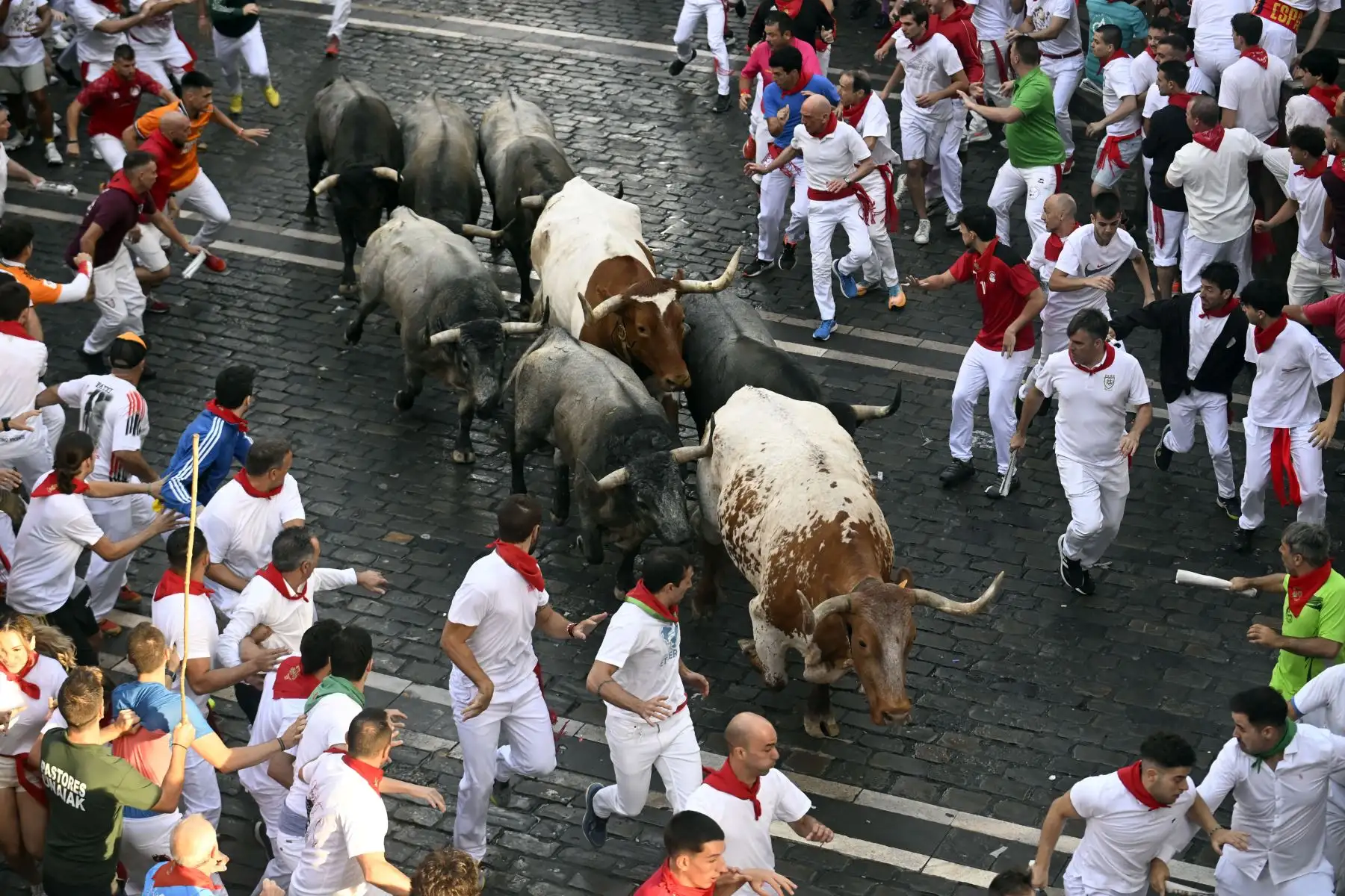 Participantes corren delante de toros de la raza José Escolar durante el sexto encierro de San Fermín en Pamplona, norte de España. Miles de personas asisten cada año a las fiestas de una semana y a sus famosos encierros, todos los días a las 8:00 h por las estrechas calles del casco antiguo a lo largo de un recorrido de 850 metros. Foto: ANDINA/AFP