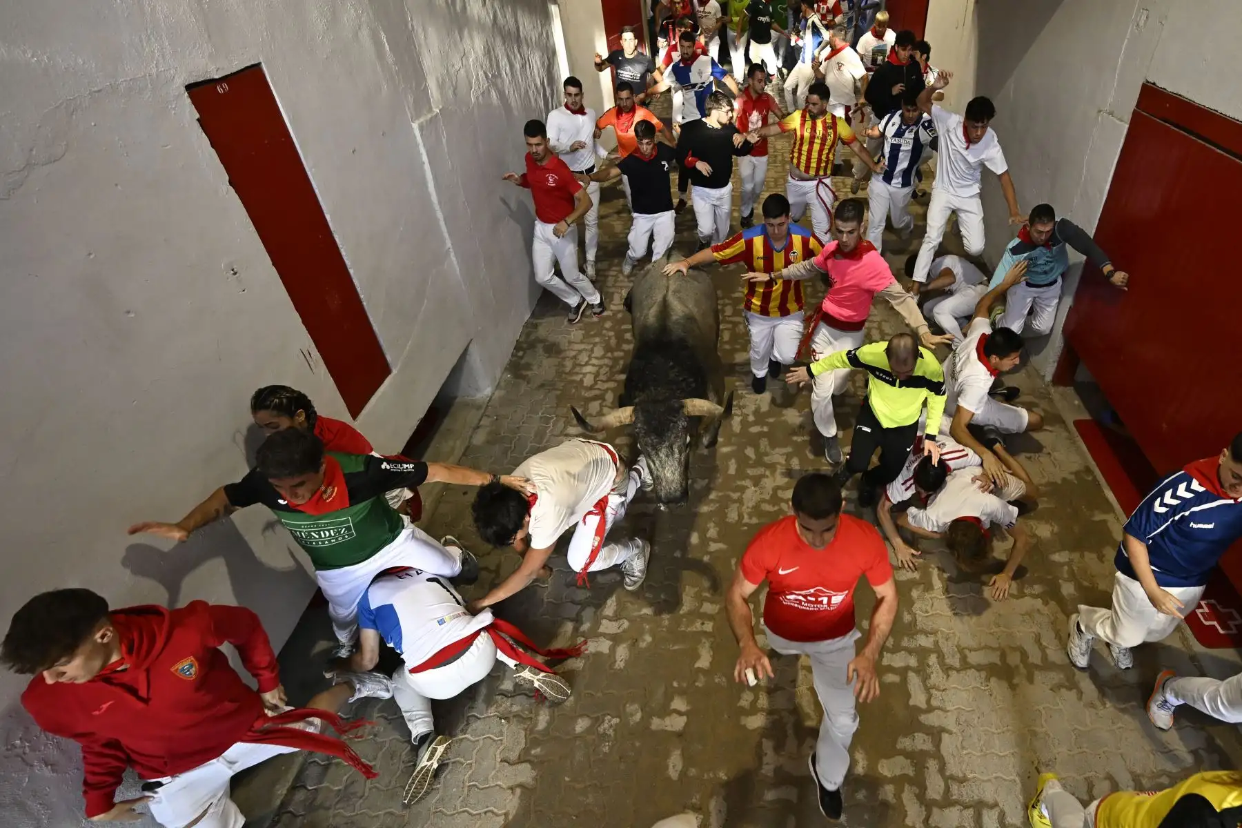 Participantes y toros de la raza José Escolar entran en la plaza durante el sexto encierro de San Fermín en Pamplona, norte de España. Miles de personas asisten cada año a las fiestas de una semana de duración y a sus famosos encierros, todos los días a las 8:00 h por las estrechas calles del casco antiguo a lo largo de un recorrido de 850 metros. Foto: ANDINA/AF