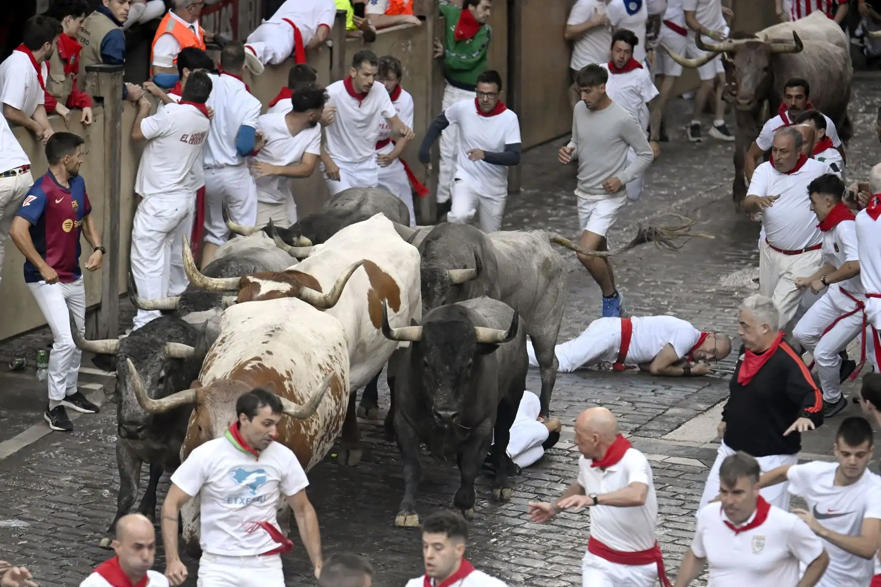 Algunos participantes caen al suelo al paso de los toros de la raza José Escolar durante el sexto encierro de San Fermín en Pamplona, norte de España. Miles de personas asisten cada año a las fiestas de una semana y a sus famosos encierros, todos los días a las 8:00 h por las estrechas calles del casco antiguo a lo largo de un recorrido de 850 metros. Foto: ANDINA/AFP