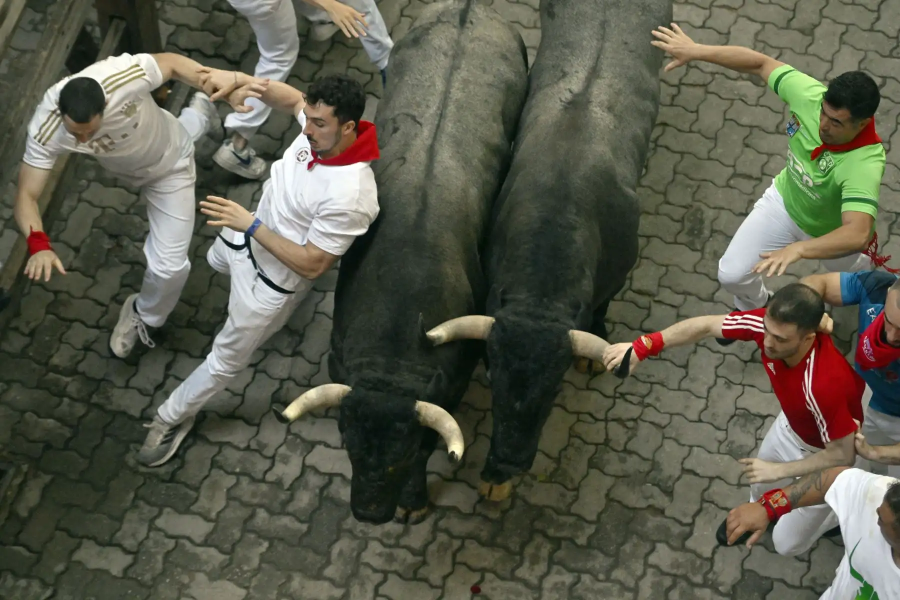 Los participantes intentan esquivar a los toros de la raza José Escolar durante el sexto encierro de San Fermín en Pamplona, norte de España. Miles de personas asisten cada año a las fiestas de una semana de duración y a sus famosos encierros, todos los días a las 8:00 h por las estrechas calles del casco antiguo a lo largo de un recorrido de 850 metros. Foto: ANDINA /AFP