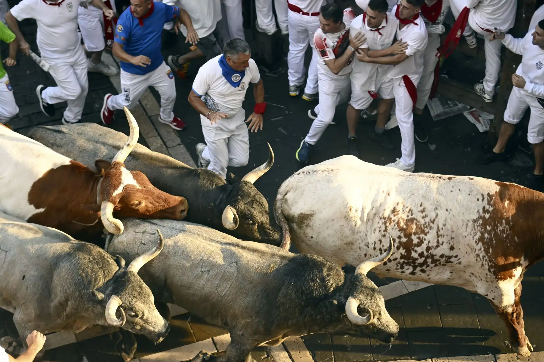 Toros de la raza José Escolar pasan junto a los participantes durante el sexto encierro de San Fermín en Pamplona, norte de España. Miles de personas asisten cada año a las fiestas de una semana de duración y a sus famosos encierros, todos los días a las 8:00 h por las estrechas calles del casco antiguo a lo largo de un recorrido de 850 metros. Foto: ANDINA/AFP