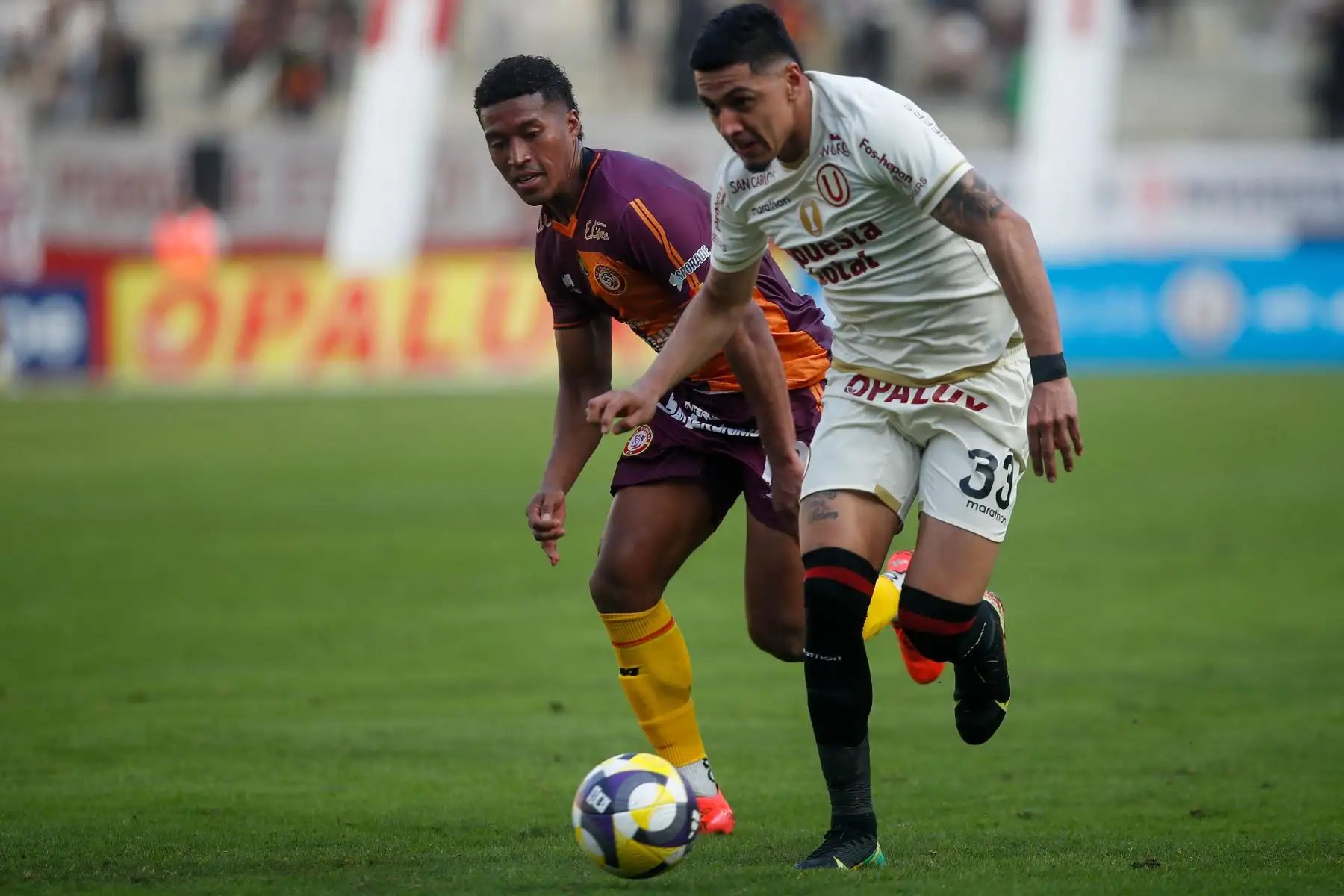 Universitario de Deportes se consagra campeón del del Torneo Apertura de la Liga1 2025 al empatar 0 a 0 ante Los Chankas en el Estadio Monumental.

Foto: ANDINA/ Eddy Ramos