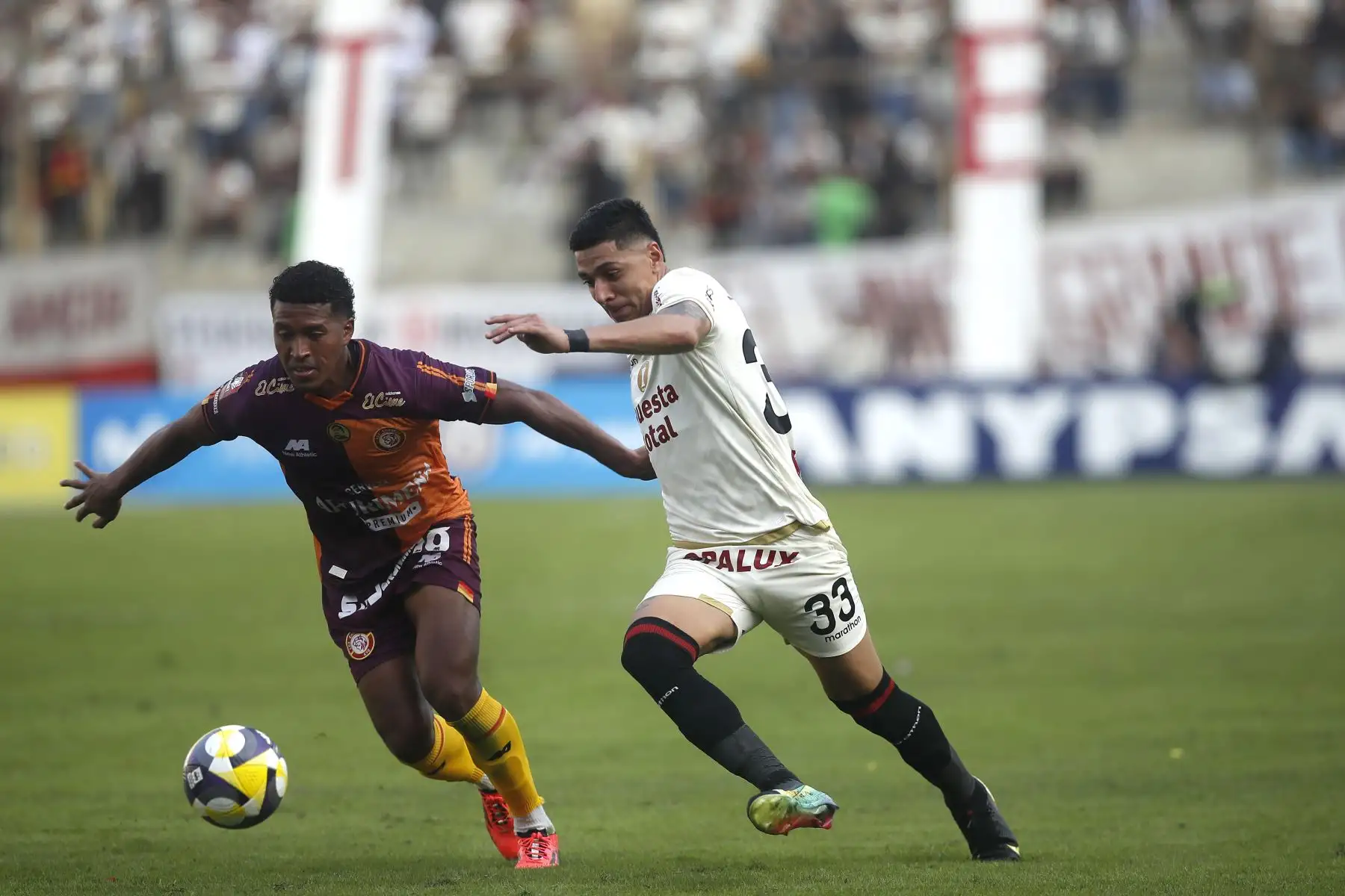 Universitario de Deportes se enfrenta a Los Chankas en partido que definirá al campeón del Torneo Apertura de la Liga1 2025 en el Estadio Monumental. En la imagen, el jugador de Universitario, César Inga.
Foto: ANDINA/ Eddy Ramos