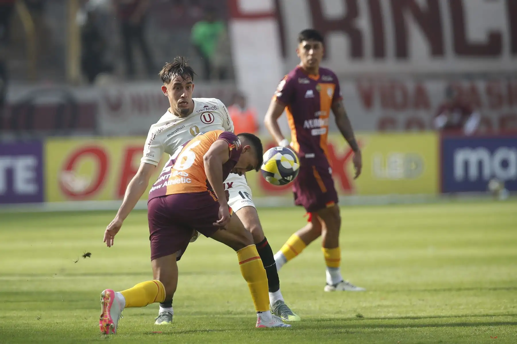 Universitario de Deportes se enfrenta a Los Chankas en partido que definirá al campeón del Torneo Apertura de la Liga1 2025 en el Estadio Monumental. En la imagen, el jugador de Universitario, Martín Pérez Guedes.
Foto: ANDINA/ Eddy Ramos