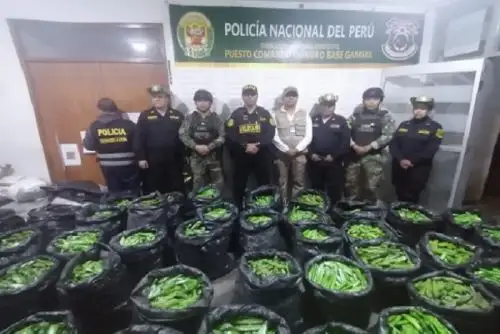 PNP ejecutó 3177 operativos en las últimas 24 horas. Este accionar permitió la detención en flagrancia de 955 personas y la captura de 415 requisitoriados a nivel nacional.