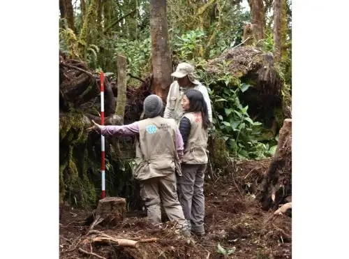 Un equipo técnico de la Dirección de Cultura de San Martín inició los trabajos de puesta en valor del complejo arqueológico Gran Pajatén, enclavado en medio de la selva amazónica del Parque Nacional Río Abiseo. ANDINA/Difusión