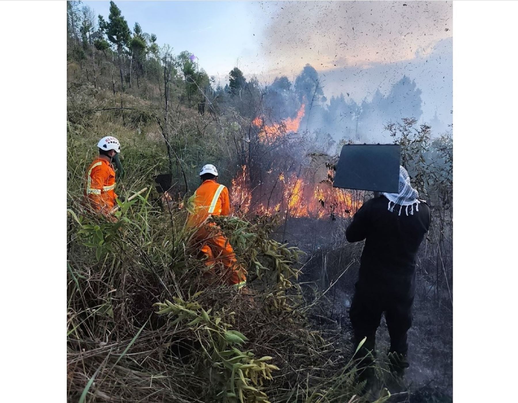 Senamhi advirtió que existen condiciones atmosféricas que favorecerían la propagación de incendios forestales y Cusco sería una de las regiones más afectadas por los siniestros. ANDINA/Difusión