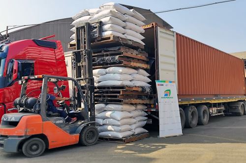 Productores de Ucayali exportan 175 toneladas de cacao a Italia, Países Bajos y EE UU. Cortesía Midagri