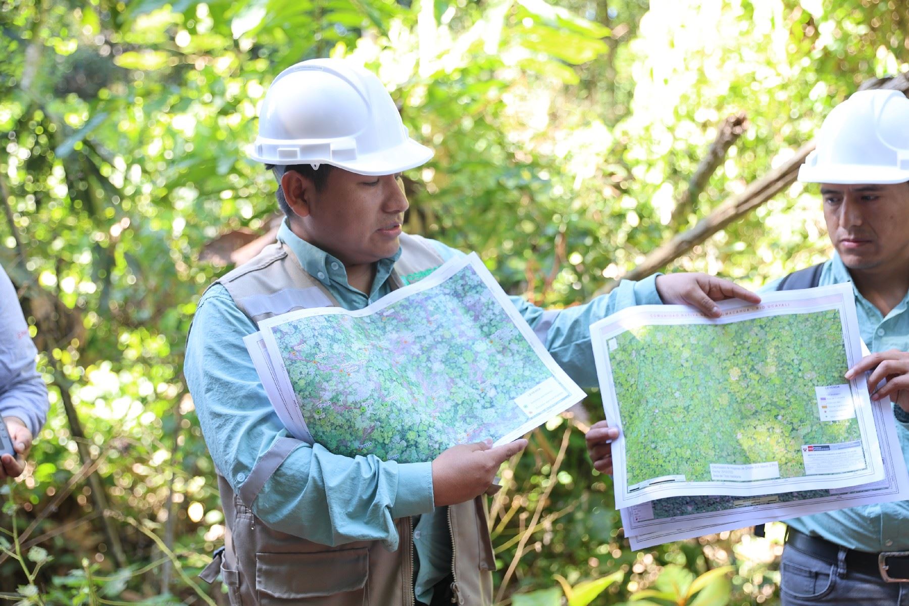 La  versión 2 del algoritmo de detección de tala selectiva óptico (Adetop) permitirá fortalecer el monitoreo forestal. Foto: Osinfor