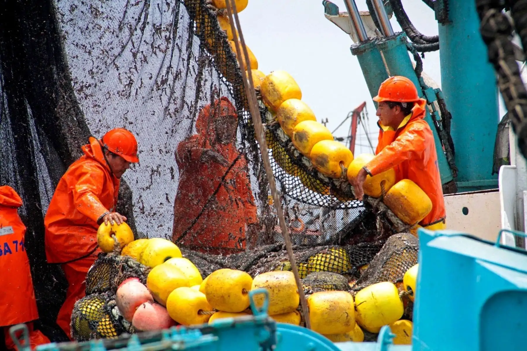 Peru's fishing sector's GDP reached a 6.4% growing in September 2025