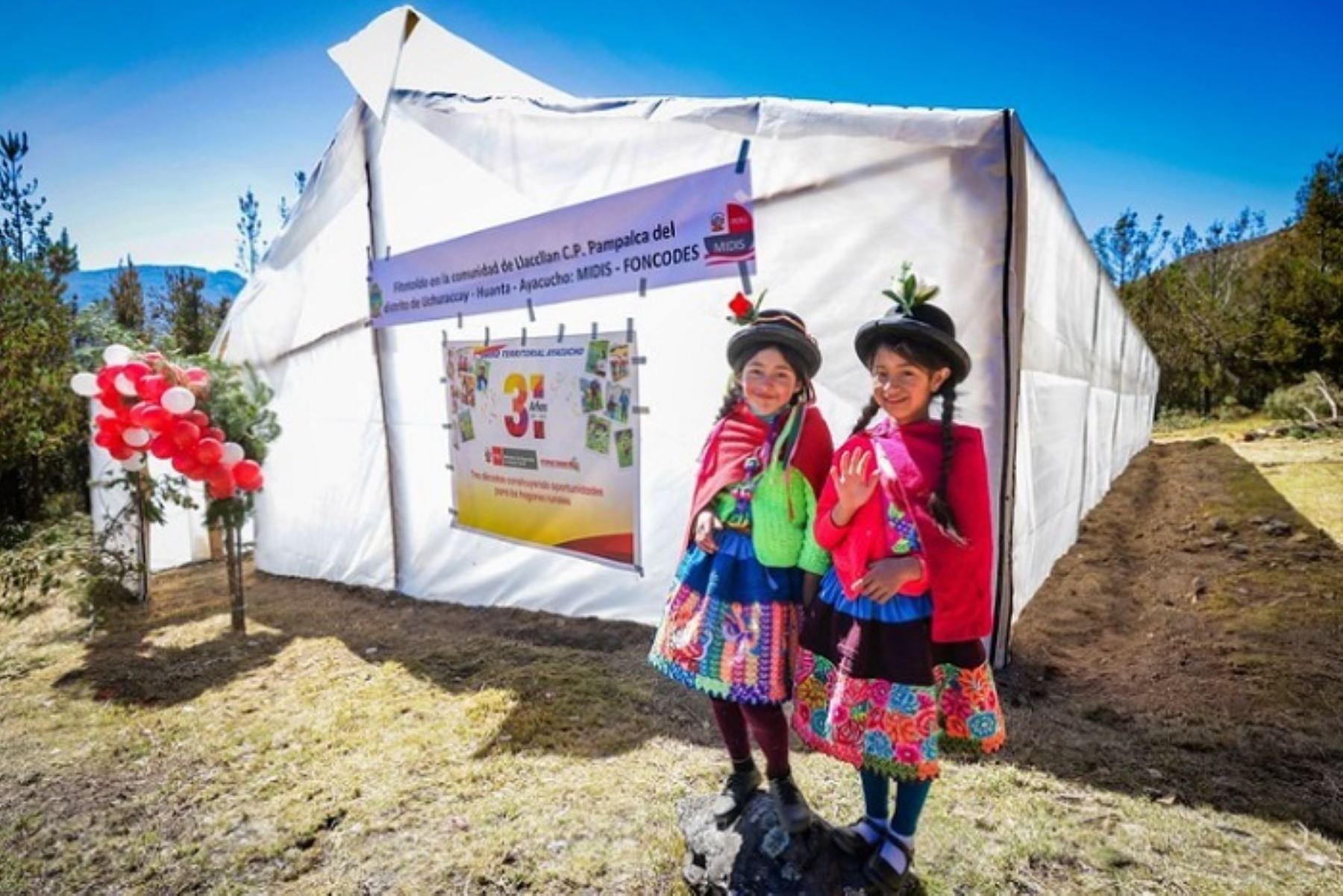 Ayacucho: Uchuraccay cuenta con primer fitotoldo para mejorar producción de fresas