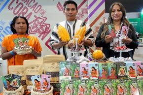 Productores cacaoteros con apoyo de Devida participarán en el Salón del Cacao y Chocolate. Foto: DEVIDA/Difusión.