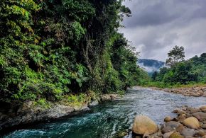 Parque Nacional Bahuaja Sonene