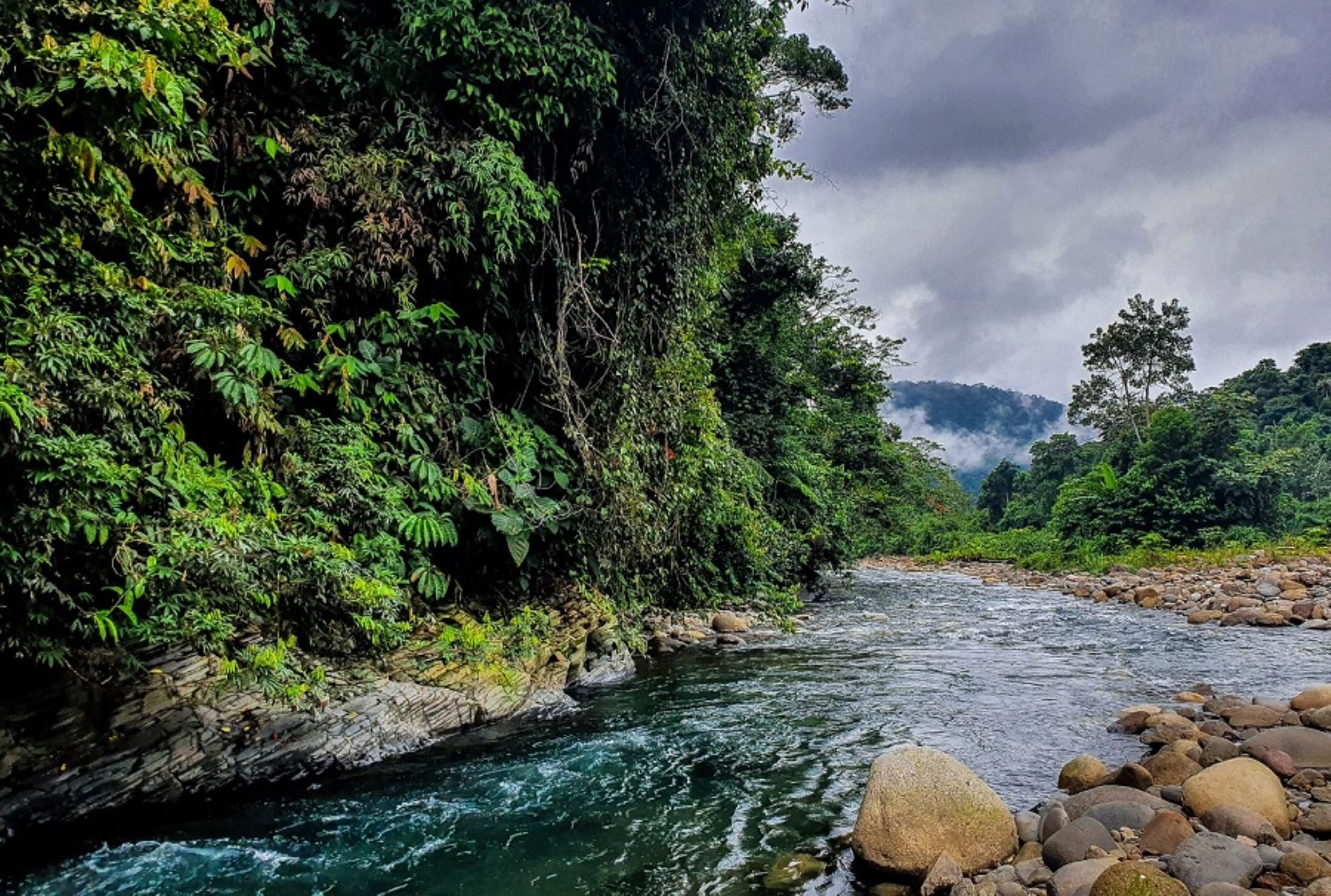 Parque Nacional Bahuaja Sonene
