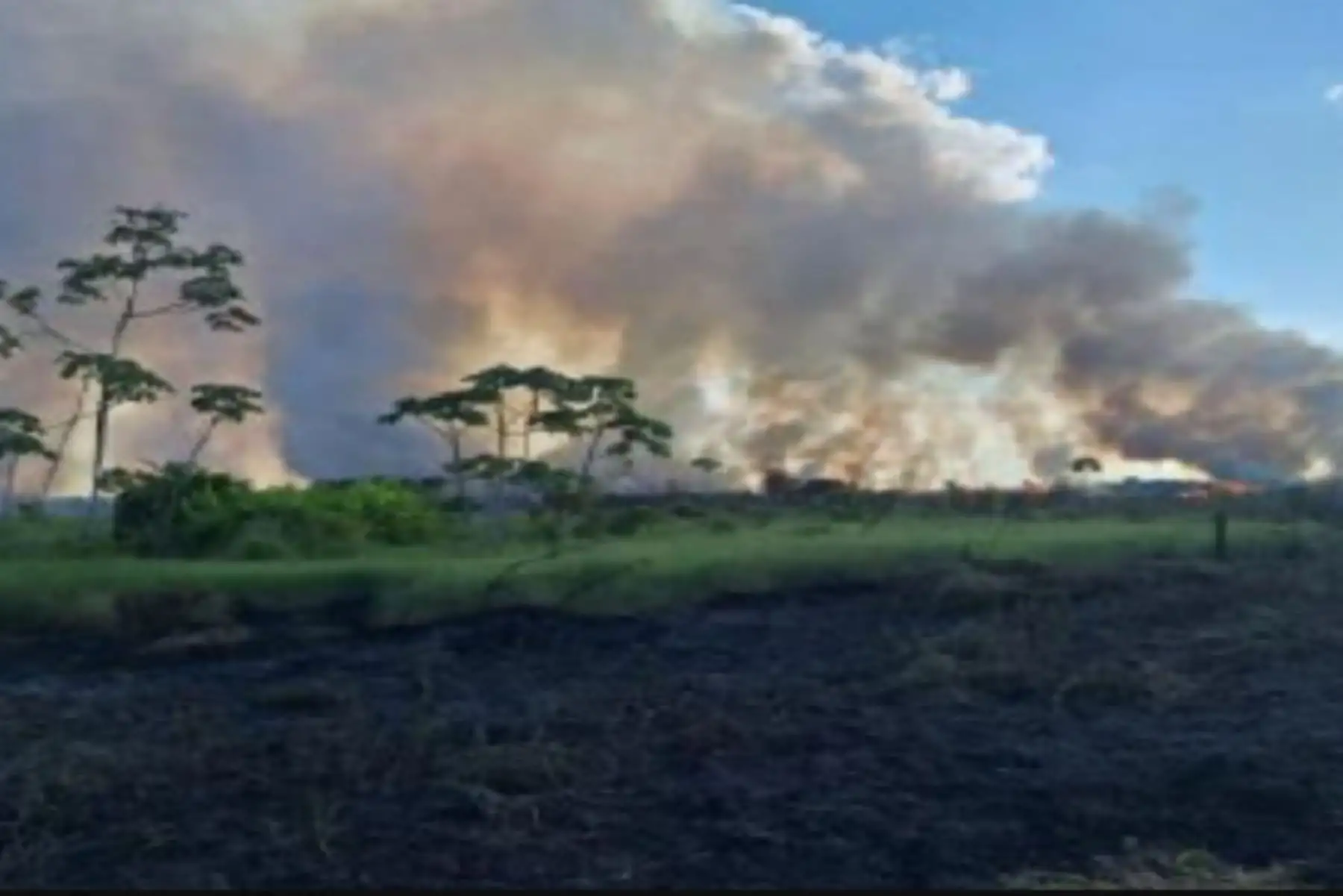 Ucayali: incendios forestales arrasan cultivos y cubren de humo el cielo de Pucallpa