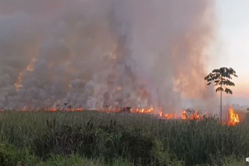 Se teme que e fuego avance a zonas urbanas aledañas.